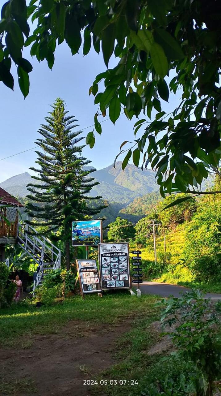 Blue Mountain Cottage Senaru Εξωτερικό φωτογραφία
