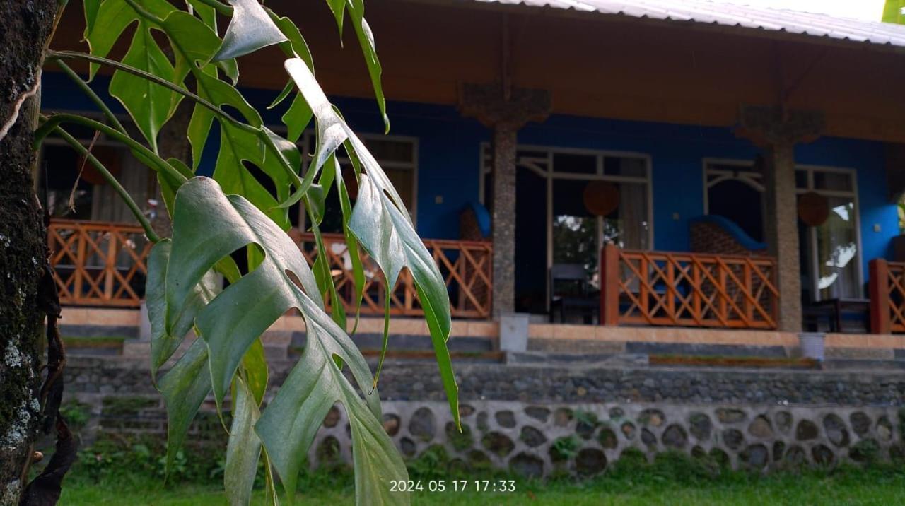 Blue Mountain Cottage Senaru Εξωτερικό φωτογραφία