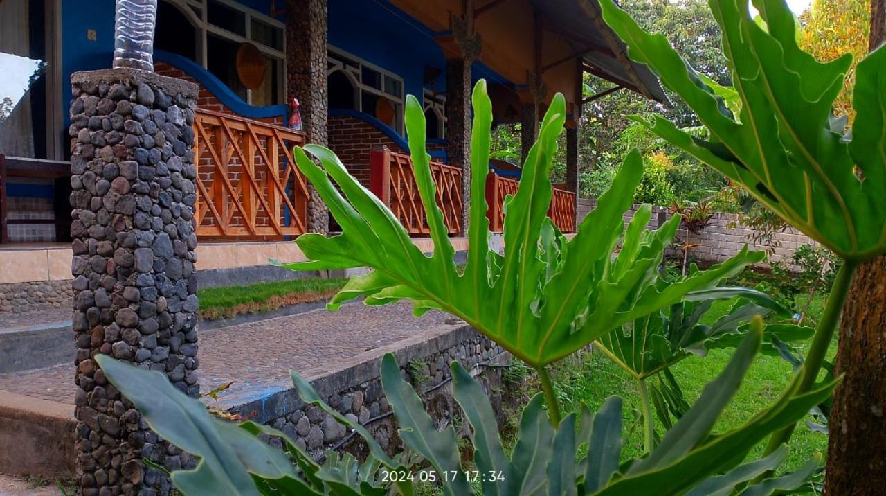 Blue Mountain Cottage Senaru Εξωτερικό φωτογραφία