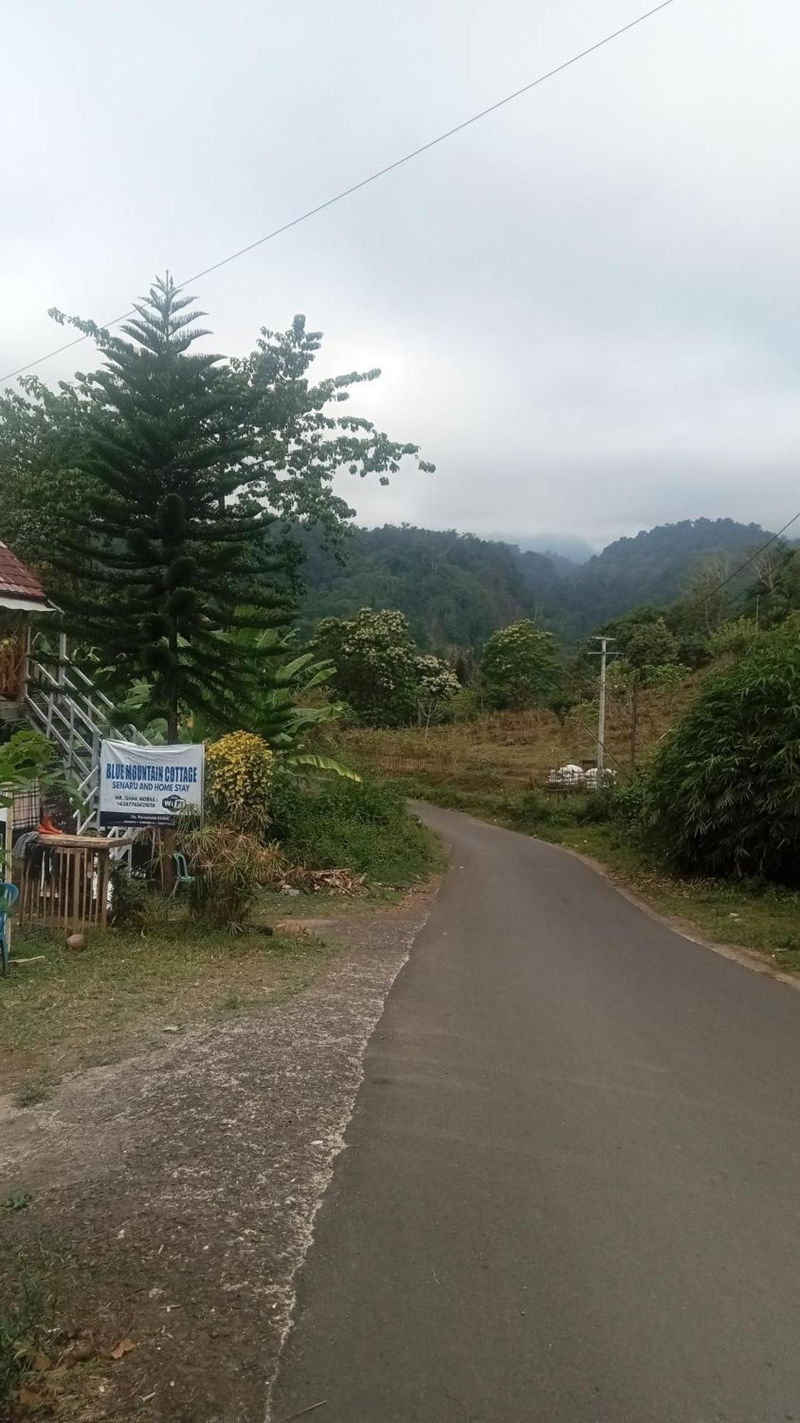 Blue Mountain Cottage Senaru Εξωτερικό φωτογραφία