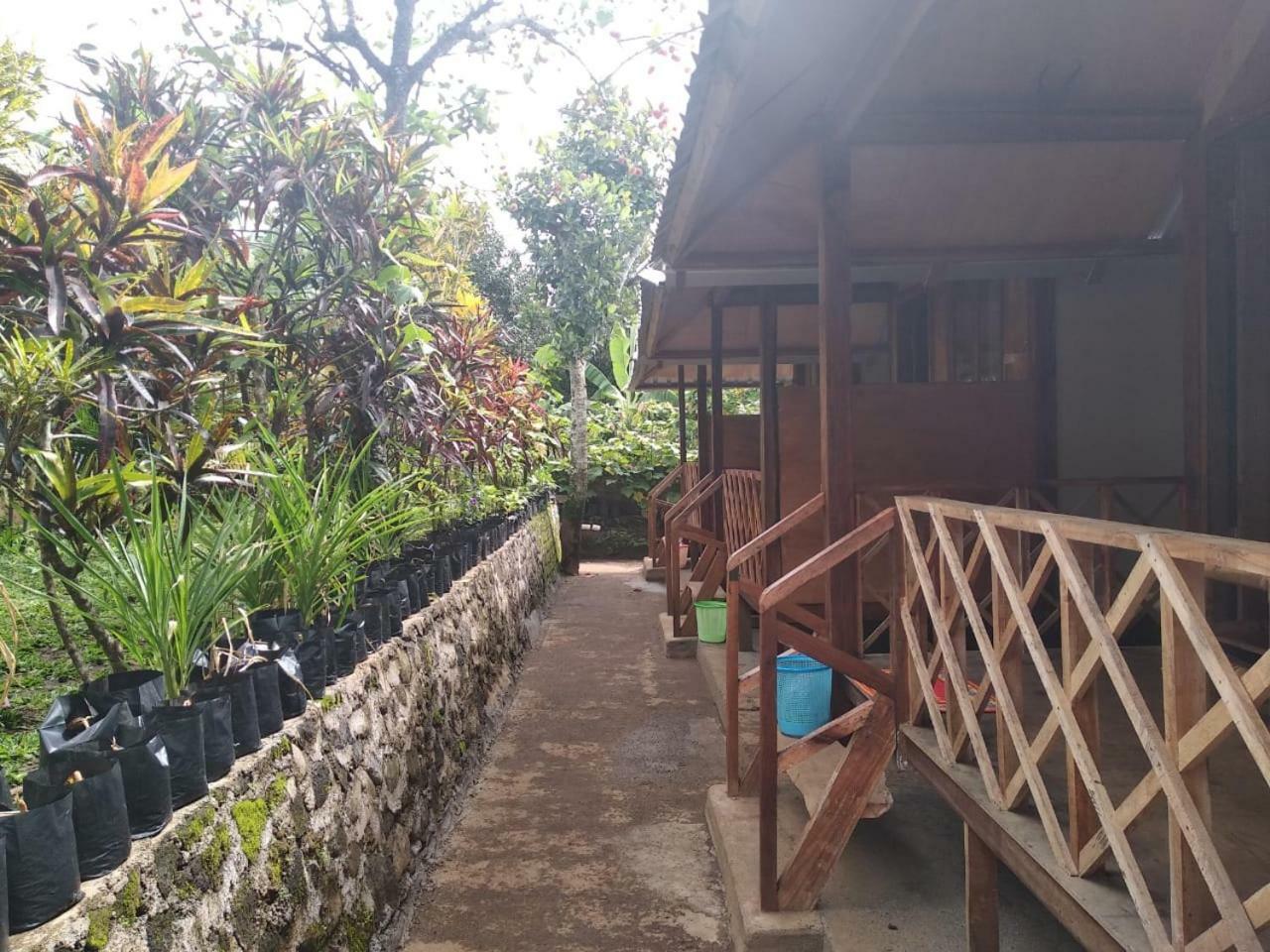 Blue Mountain Cottage Senaru Εξωτερικό φωτογραφία